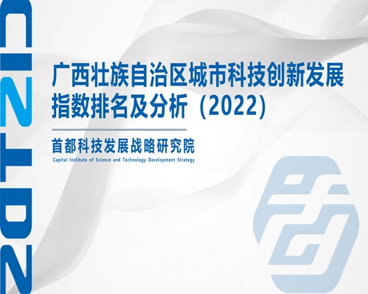 男插到女逼太禁的网站【成果发布】广西壮族自治区城市科技创新发展指数排名及分析（2022）